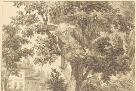after Jean Baptiste Mallet