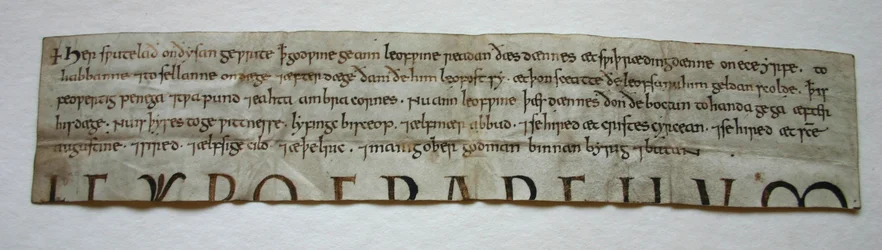 Godwine peruskirja