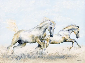 Arabian ritarit