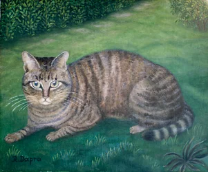 Julia-kissa