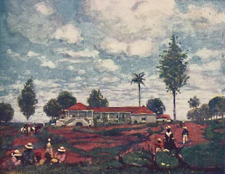 Kahvitila, 1916