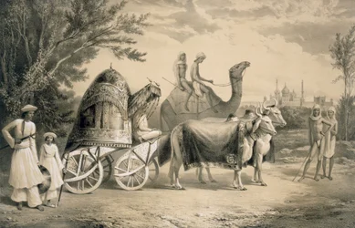 Delhin kuninkaan haaremivaunu, pubi. 1858.