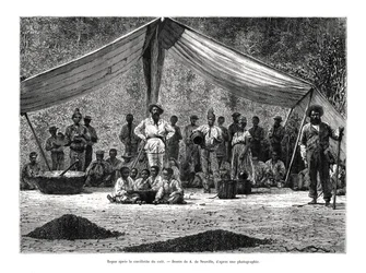 Ateria kahvin kokoontumisen jälkeen, Brasilia, 1800-luku