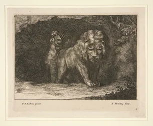 Lionit. Sarjasta