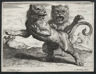Erilaisia lioneita.