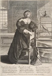 Papukaija, 1620-76.