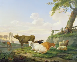 Lehmät ja paimen