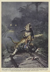 Keskellä intiaanimetsää mies odottaa junaa lähellä rautatietä