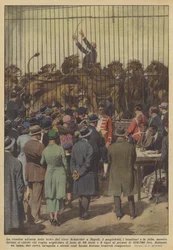 Schneider-sirkuksen petojen myynti huutokaupassa Napolissa