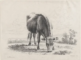 Lehmän laiduntaminen, 1805, 1805.