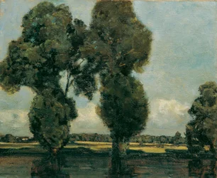 valkoiset poppelit