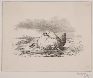 Kanat