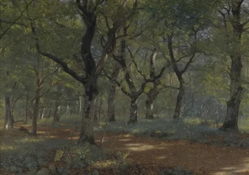 Metsässä