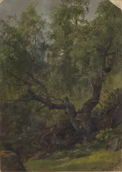 Metsätutkielma Numedalista