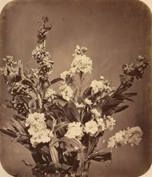 Kukkakimppu, c. 1855.