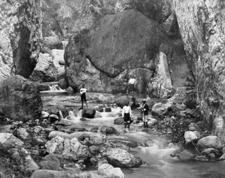 Cane River, Jamaika, 1905.