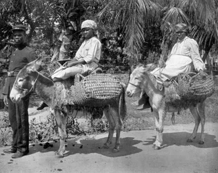 Vankilaan, Jamaika, 1905.