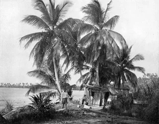 Matkalla Blue Holeen, Port Antonio, Jamaika, c1905.