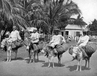 Matkalla kotiin torilta, Jamaika, c1905.