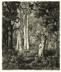 Old Oaks Bas Bréaussa