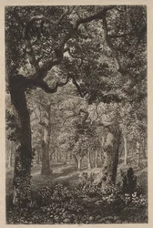 Metsässä