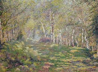 Hopeakoivut (öljy kankaalle)