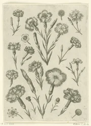 Erilaisia ​​vihamielisyyksiä Florilegium (sarjan nimi)