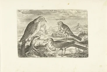 Kolme lintua maisemassa Avium Vivae (sarjan nimi) Linnut (sarjan nimi)