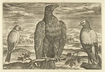 Kolme lintua maisemassa Avium Vivae (sarjan nimi) Linnut (sarjan nimi)
