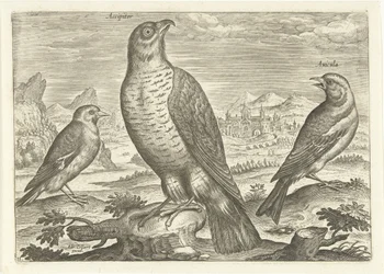 Kolme lintua maisemassa Linnut (sarjan nimi) Avium vivae (sarjan nimi)
