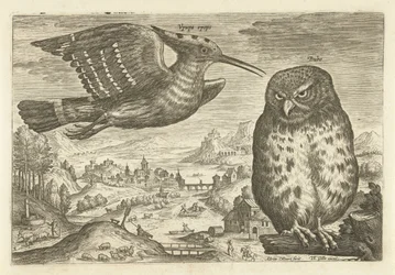 Muutama lintu maisemassa Linnut (sarjan nimi) Avivm vivae (sarjan nimi)