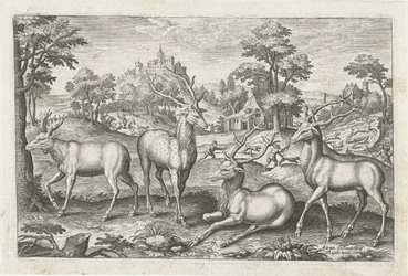 Peura Nelijalkaiset eläimet (sarjan nimi) Animalivm Qvaddrvpedvm (sarjan nimi)