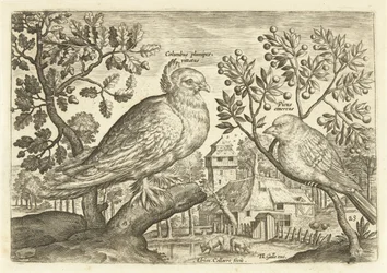 Kaksi lintua maisemassa Avium Vivae (sarjan nimi) Linnut (sarjan nimi)