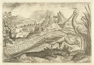Kaksi lintua maisemassa Avium Vivae (sarjan nimi) Linnut (sarjan nimi)