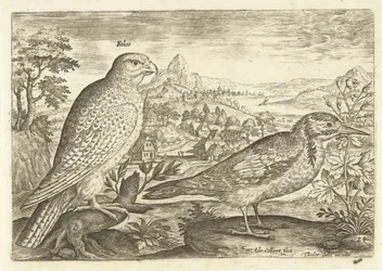 Kaksi lintua maisemassa Avium Vivae (sarjan nimi) Linnut (sarjan nimi)