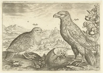 Kaksi lintua maisemassa Avium Vivae (sarjan nimi) Linnut (sarjan nimi)