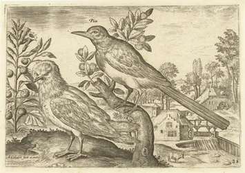 Kaksi lintua maisemassa Linnut (sarjan nimi) Avium Vivae (sarjan nimi)