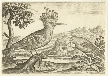 Kaksi lintua maisemassa Linnut (sarjan nimi) Avium Vivae (sarjan nimi)
