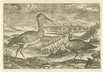 Kaksi lintua maisemassa Linnut (sarjan nimi) Avium vivae (sarjan nimi)