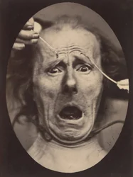 Electro-Physiologie, kuva 64, 1854-56, painettu 1862.