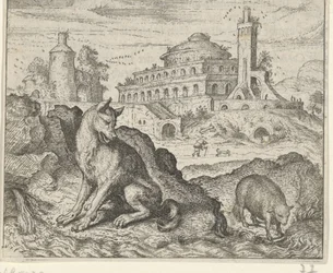 Fable sudesta ja karitsasta
