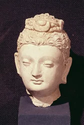 Buddhan pää, kreikkalais-buddhalainen tyyli, Haddasta (stukki)
