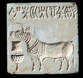 Kivisinetti, Mohenjo-darosta, 26.-25. vuosisadalla eKr. (pronssikausi)