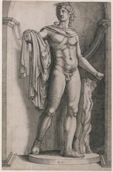 Rooman loiston peili: Apollo Belvedere, n. 1514-36, n. 1514-36.