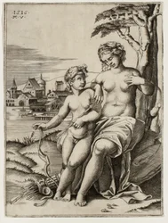 Amorin tikan haavoittama Venus