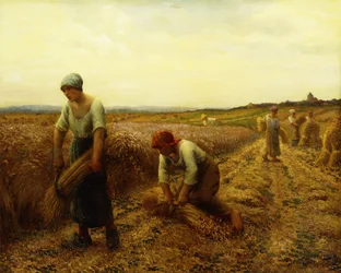 Harvesterit,