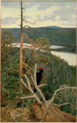 Suuri palokärki