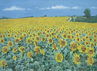 Auringonkukkien pelto, 2002