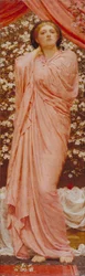 Kukkii