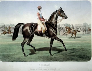 Kilpailu: "" Suzerain, Chantillyn derbyn voittaja vuonna 1868" Litografia Albert Adam (1833-?) Yksityiskokoelma
